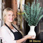 30 Pcs Real Dried Eucalyptus Plant Large Stems For Shower  100  Natural Fresh