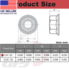 1 4-20 Serrated Flange Hex Nuts  Hexagon Flange Nuts 304 Stainless Steel  50pcs