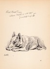 Vintage Lucy Dawson Bull Terrier Print Wall Art Decor 1940s Bull Terrier 5519z