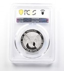 2007-w  100 American Platinum Eagle 1 Oz Platinum Pr70 Dcam Pcgs  4660