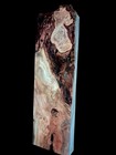 Xl Mind Blowing Birdseye Maple Burl Wood Blank  Curly Maple  Figured Ambrosia 