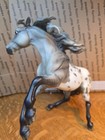 Breyer Collector Club Shelby Matte Grey Appaloosa Nokota Mold Gamblers Choice