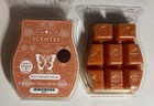 Lot Of 2 Scentsy Wax Bars-3 2 Fl Oz-scented Candle Melts For Warmer-brand New