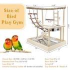 Wooden Parrot Perch Gym For Birds - Natural Shaped Gym