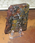 118 Gm Sericho Pallasite Meteorite Slice From Kenya Stand Olivine Jal  26 Lb