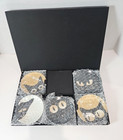 Jewel Miya  cats Eyes  Small Plate Set Of 5 Ceramic Appetizer Dessert 3 5 