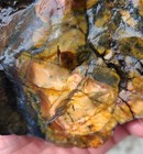 Rare 1 29 Lb Colorful Brecciated Jasper-agate Rough  dendritic  From Utah