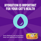 Wellness Complete Health Pate Wet Cat Food Chicken Grain Free 12 5 Oz 12 Cans