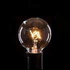 G40 Clear Globe Patio Outdoor String Lights With Black Wire  10     25     50     100   