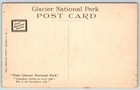 Two Medicine Valley  Glacier National Park  Montana  Postcard  C1910