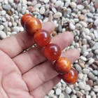 Superb 18 Mm Translucent Beads Borneo Agathis Bracelet 13 Beads Raja Kayu  02
