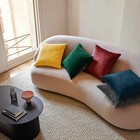 Cushion Covers Sofa Decor Velvet Cushion Cases Throw Pillow Covers Set Of 2