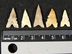 Lot Of Five  Ancient Tidikelt Arrowhead S Gem Points Or Bird Points 8 02