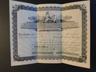 Vintage 1905 Stock Certificate - Sultan Placer Mining Co  -  Everett Washington