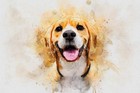 Custom Pet Portrait - Personalized Dog Watercolor Art For Pet Lovers