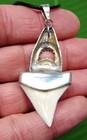 2   1 8     Bull Shark Tooth Necklace With Sterling Silver Shark Cap 