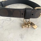 Coach Large Pet Collar In Signature Crossgrain Leather Brown Black New