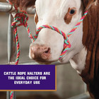 Braided Poly Rope Cattle Halter  Adjustable Style Cow Calf Halter  Livestock Han