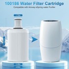 100186 Water Filter Replacement Cartridge Compatible With Amway Espring System
