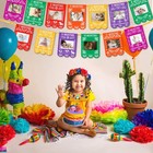 Mexican Photo Banner Fiesta First Monthly Banner Papel Picado First Fiesta Bi   