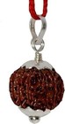 12 Mukhi Rudraksha  Lab Certified  Nepal Origin With Caping