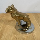 Vintage Mack Truck Bulldog Hood Ornament Gold Bulldog On Chrome Base