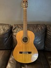 Jasmine Guitar By Takamine