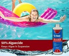 Rx Clear Algaecide 50 Plus Prevents Algae Swimming Pool Chemical - 32 Oz Bottles
