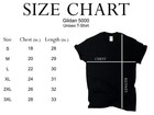 As A Gemini Girl I Have Three Sides - Astrology Zodiac Sign T-shirt