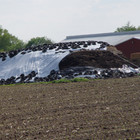 Silage Tarp 8 Mil Black white Plastic Sheeting - Choose Your Size