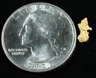  734 Natural Gold Nugget Australian  30 Grams Genuine