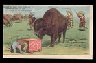 Wellsville Ny   Bell s Buffalo Soap Trade Card  Old West Kids   Indian Boy  A551