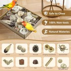 Natural Bird Toy Foraging Parrot Shredding Toys Box Conure Chewing Toys  nature 
