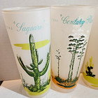 Vtg Mid Century Arizona Cactus Frosted Highball Glasses Set Of 4 - Desert Plants