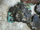 One Pound Mixed Mine Nuggets From Hubei Province China 