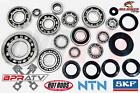 Raptor 700 Complete Bottom End Bearing Kit Complete Crankcase Bearings  seal Kit
