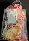 Strawberry Shortcake Pre-made Gift Bag  Great Gift For Kids  All New Items