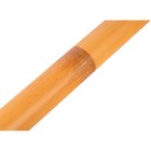 Meinl Synthetic Didgeridoo  Bamboo
