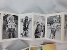 Native American Indian Themes Postcards Multiple Pictures