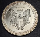 Wow Toned 1995 Bu Unc American Silver Eagle Dollar Coin Natural Toning 999 Fine
