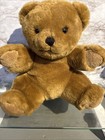Dex Baby Womb Sound Heartbeat Teddy Bear Brown Plush Crib Toy Lovey Soother Work