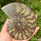 Top 200g  Natural Quartz Crystal Mineral Specimen Reiki Healing Care Home Decor