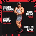 Universal Nutrition Animal Test  21 Packs  Booster Testosterone Support Pak Stak