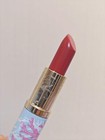 Makeup Set Incl  Estee Lauder Limited Edition Lipstick Palm Beach Chic