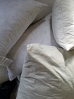 Down feather Pillow Inserts Variety Of Sizes And Brands Pre-owned Clean