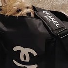 Brand New Chanel Beaute Gwp vip Black And White Duffel Bag