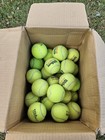 100 Used Tennis Balls - Great Dog Toys    