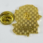 Texas Dallas Yellow Rose Enamel Pinback Lapel Pin Souvenir Collectible