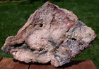 Sis  Magnificent New 15   Crazy Lace Agate Specimen - My Biggest Nodule Ever 