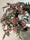 Vintage Xlarge Chinese Jade Quartz Bonsai Tree Celadon 19x36    Cherry Blossoms